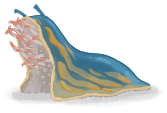 Corpse Slug