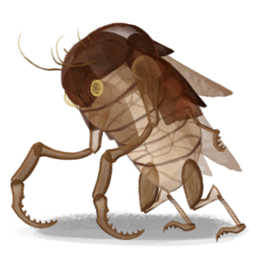 Exoskeleton