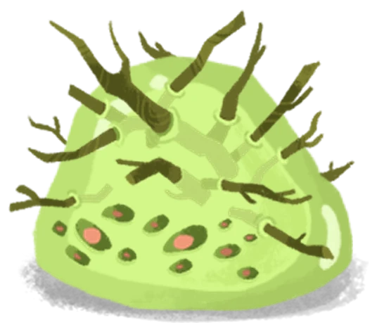 Twig Slime (M)