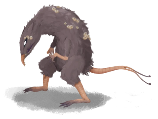 Two-Tailed Rat