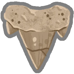 Archaic Tooth