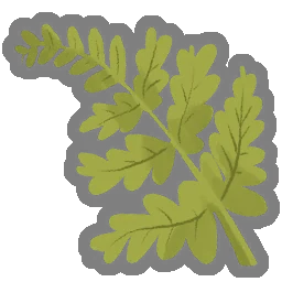 Delicate Frond