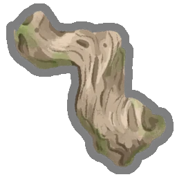 Driftwood