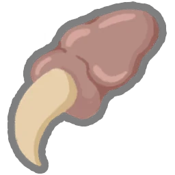 Pael's Claw